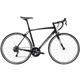 BIANCHI VIA NIRONE 7 SORA